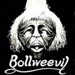 Bollweevil : Rock Solid
